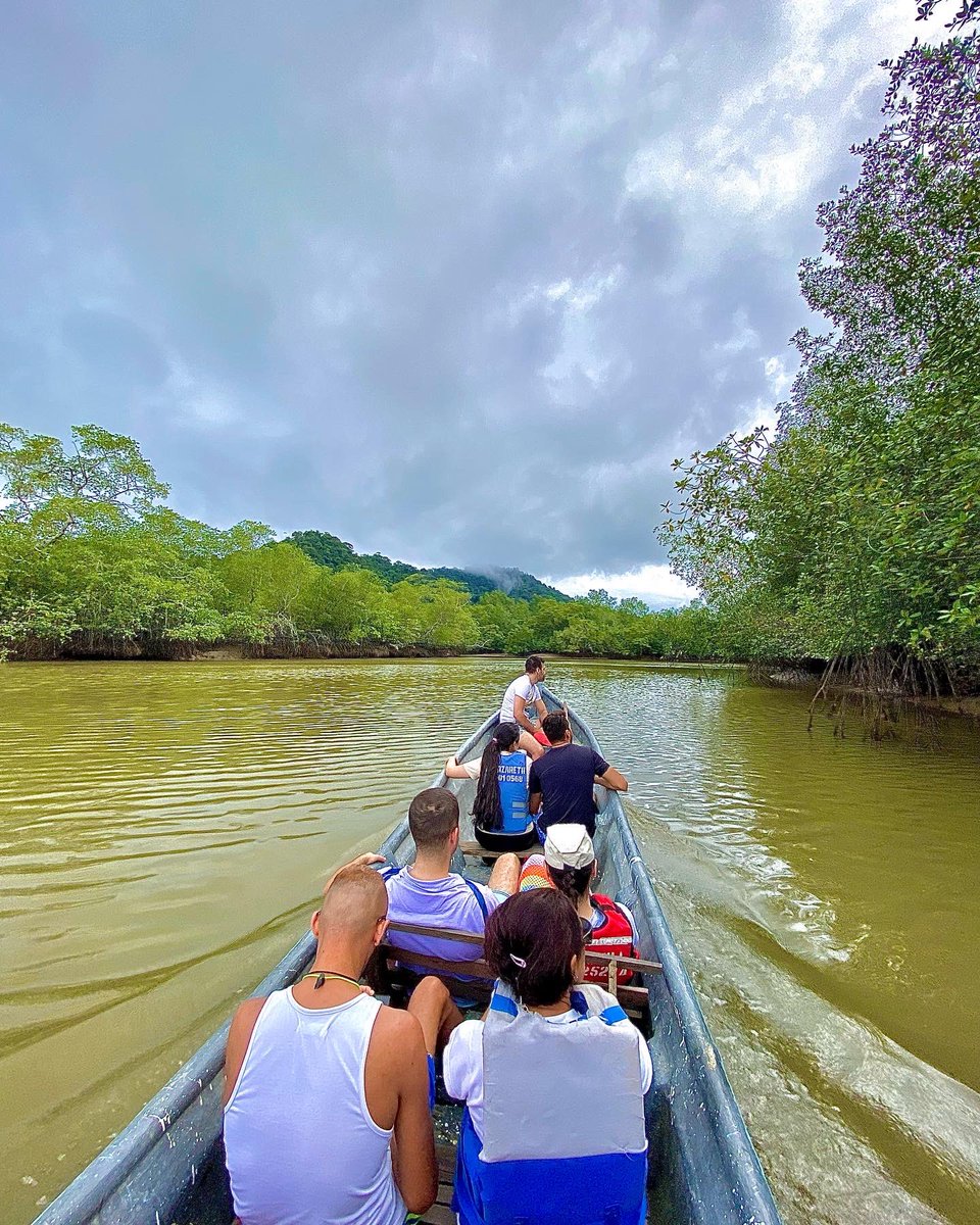 jestrada030's tweet photo. @DanielSamperO No es Buenaventura, pero si un hermoso pueblo del Choco (Nuqui) que todos deberíamos conocer, el pacifico colombiano es maravilloso https://t.co/Bx0dHfCpJQ