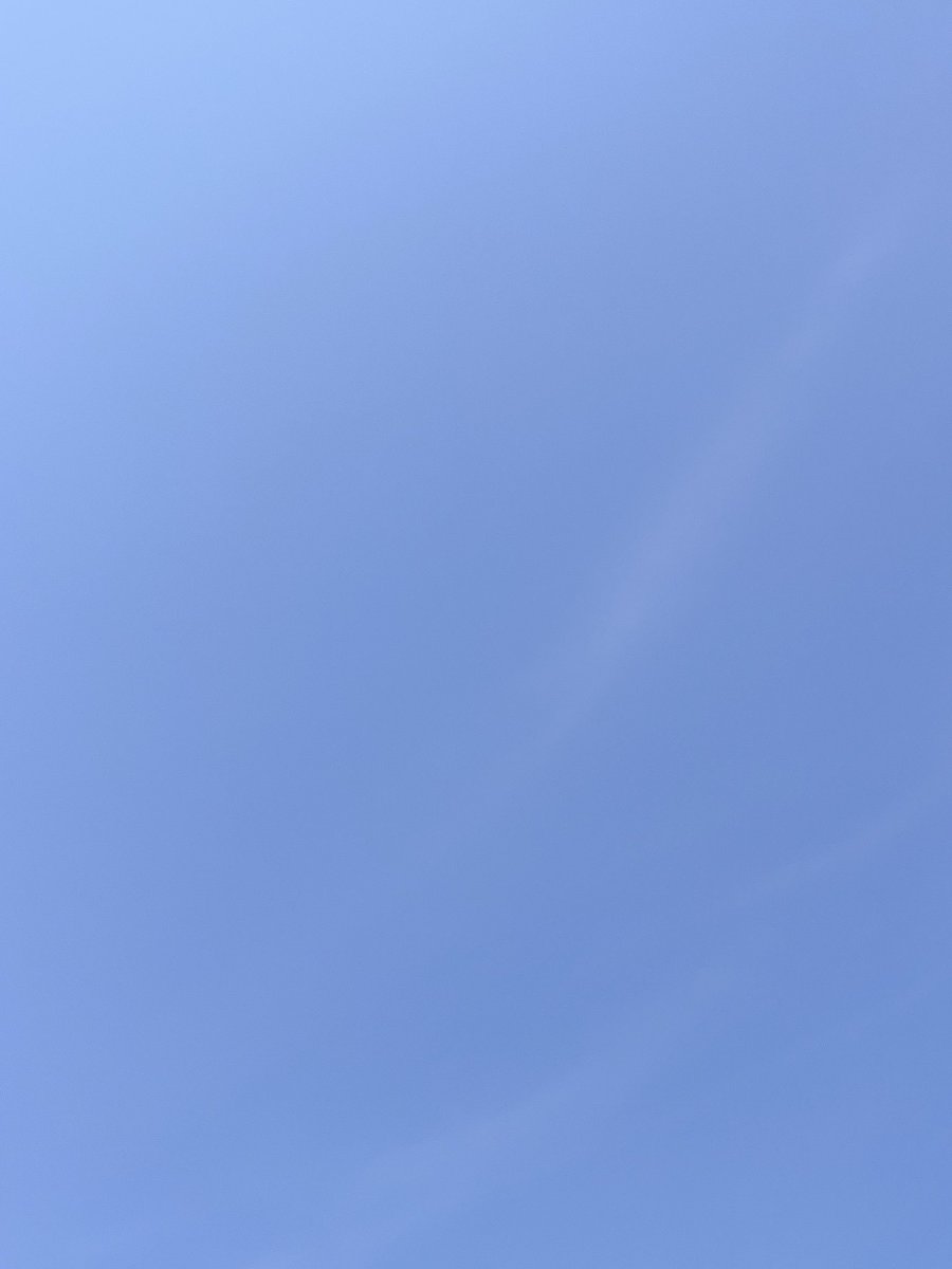 ミオ太郎 tweet media
