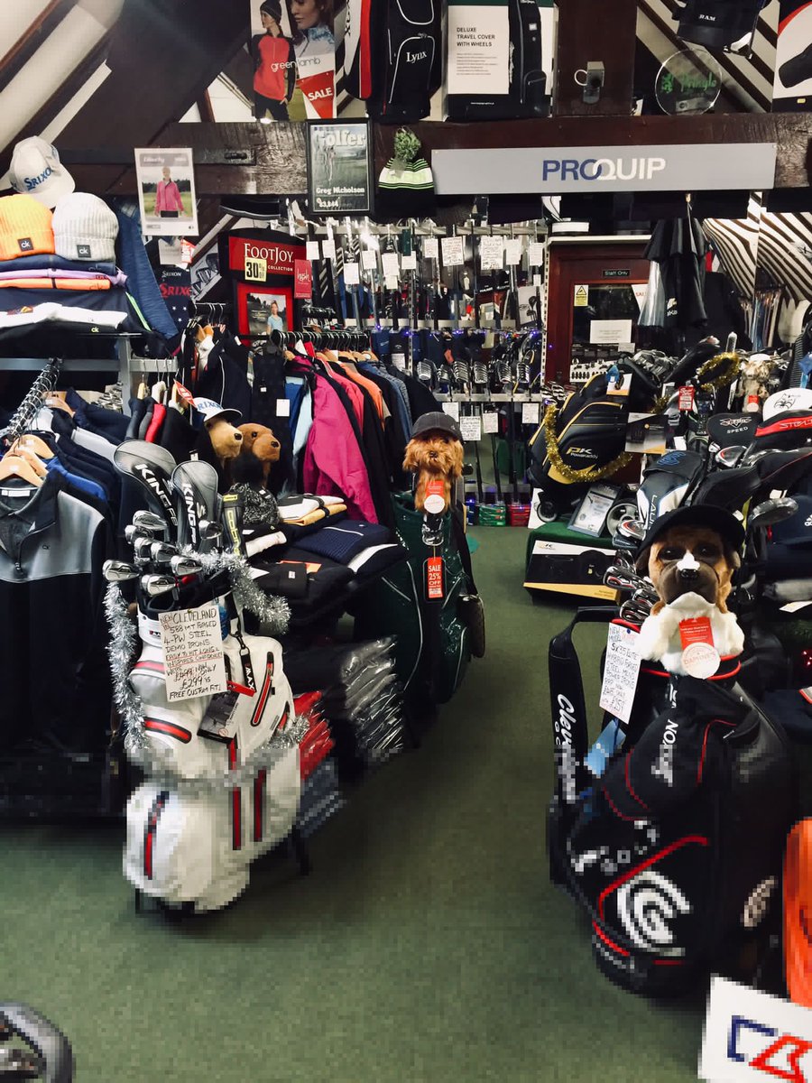 Greg Nicholson Golf tweet media