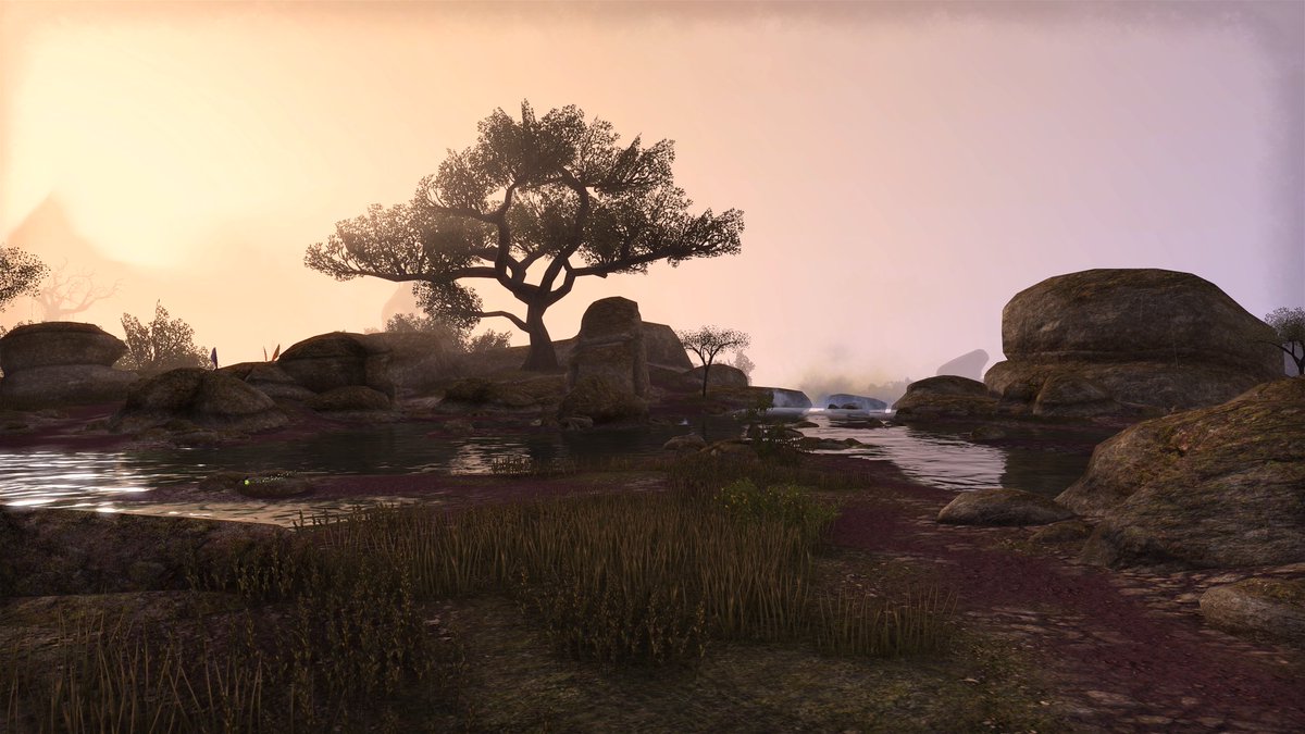 tamrielscapes's tweet image. Northwest of Rawl'kha, the shallow channels of the Crescent River merge at a single point and drain through a rocky waterfall. Farther downstream, in the Northern Woods of Reaper's March, is the culturally diverse city of Arenthia.

#ESO #ReapersMarch #Tamriel #Landscape