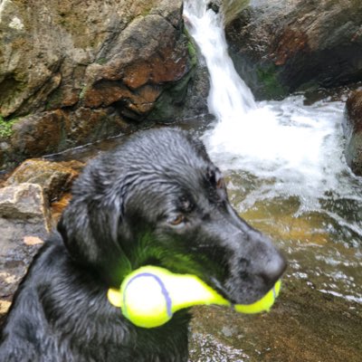 ReportedMissin1's tweet image. #NewProfilePic