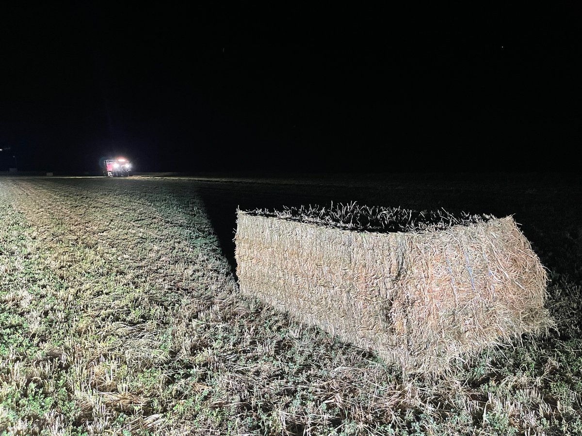 And just like that November has pretty much disappeared! Hay season all but done for lucerne seed producers as they move on to seed lock-up for another year🌱💦🌞. 
#Lucerne