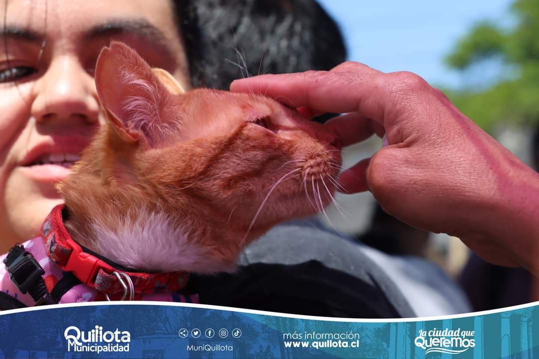 Oscar Calderón Sanchez tweet media