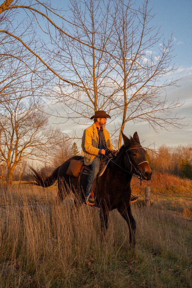 Sunset ride with Fanny at home on the farm
#country