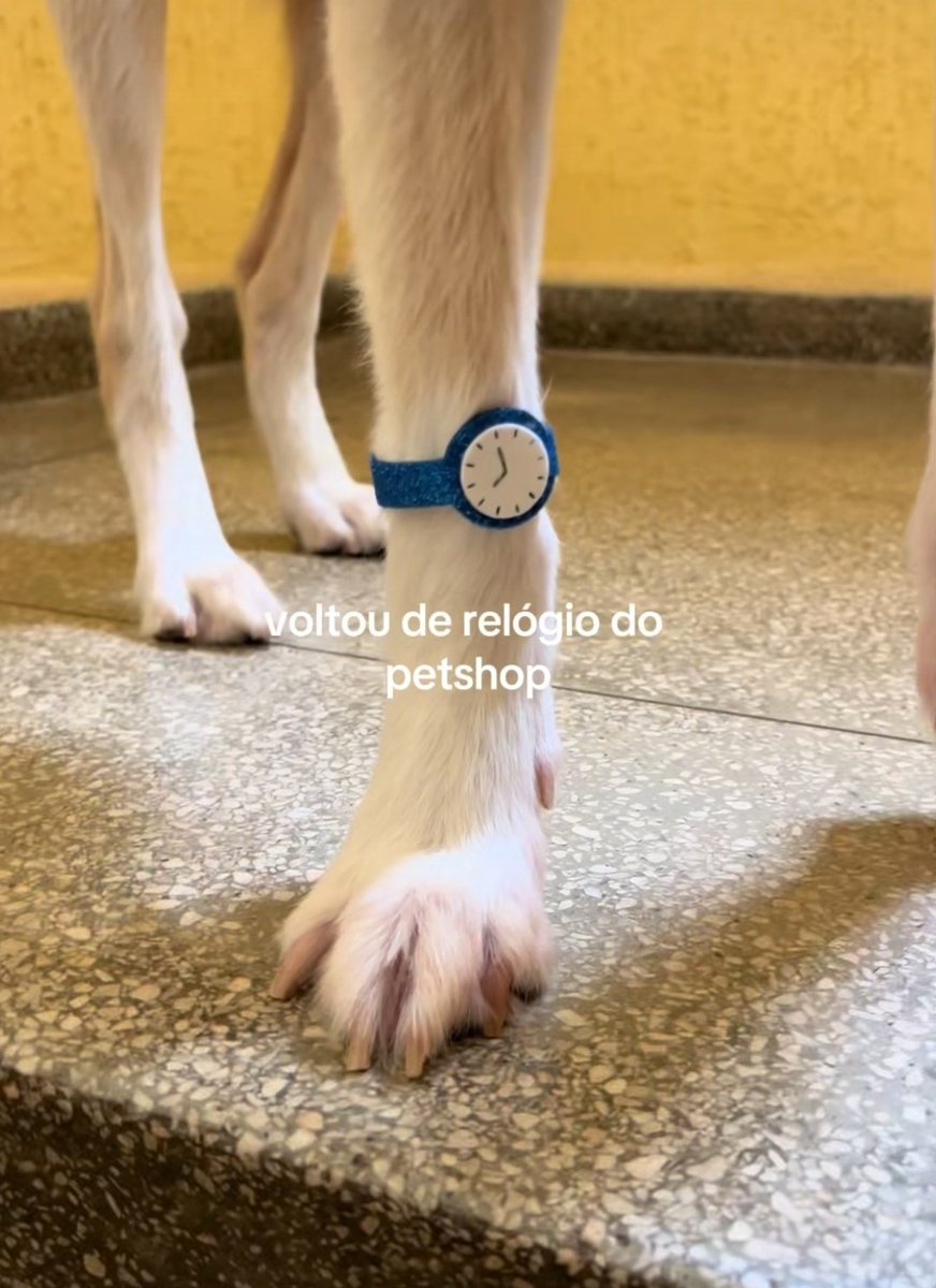 meltedvideos's tweet photo. https://t.co/Hz1qPeIvC9