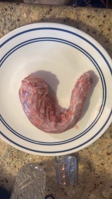 Damn this turkey was hung like a horse https://t.co/UMHdm79aUg