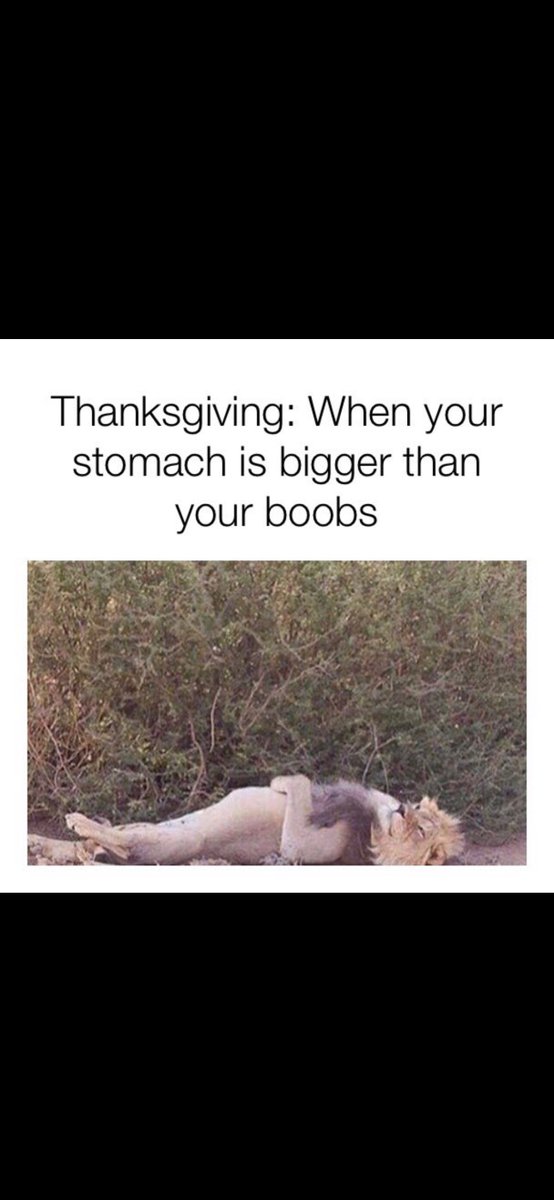 DontThinkSo🏳️‍🌈 tweet media