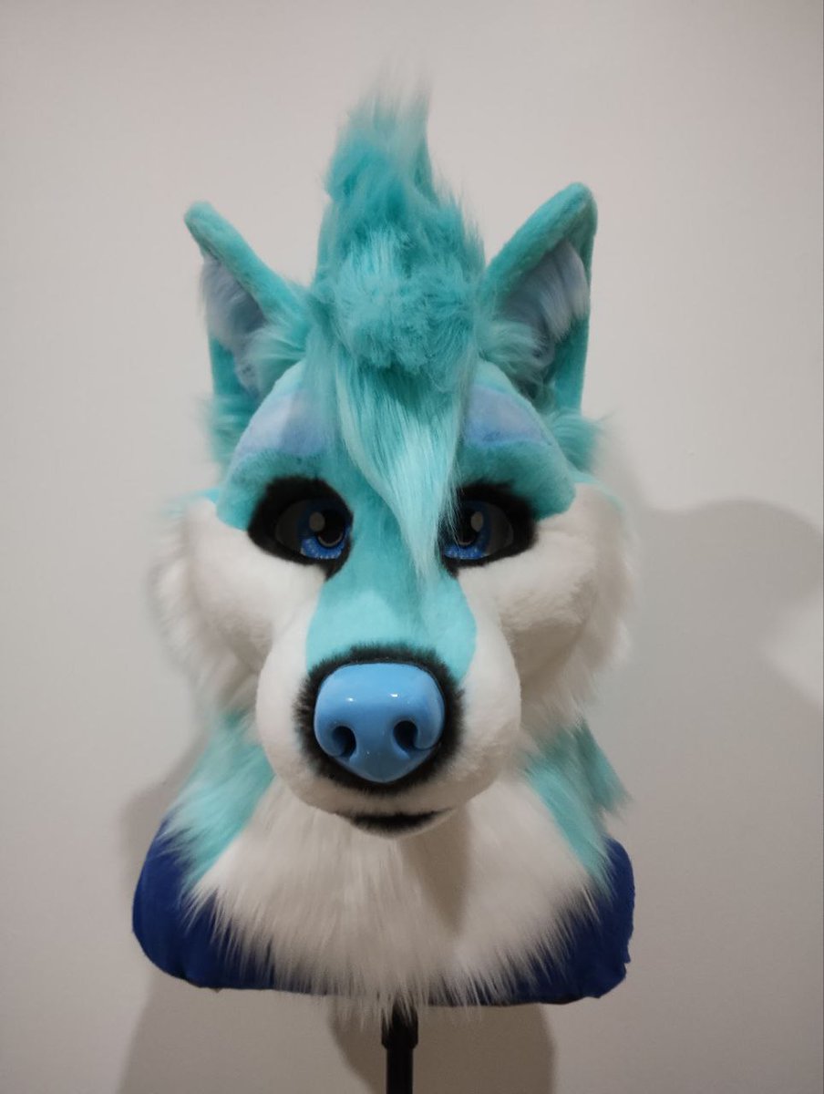 Blue Wolf Studio Fursuit tweet media