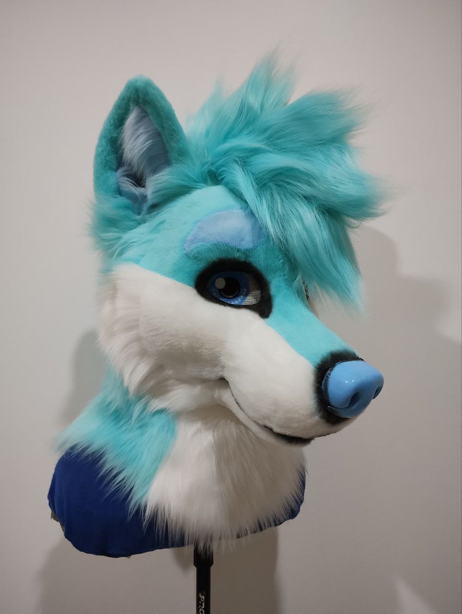 Blue Wolf Studio Fursuit tweet media