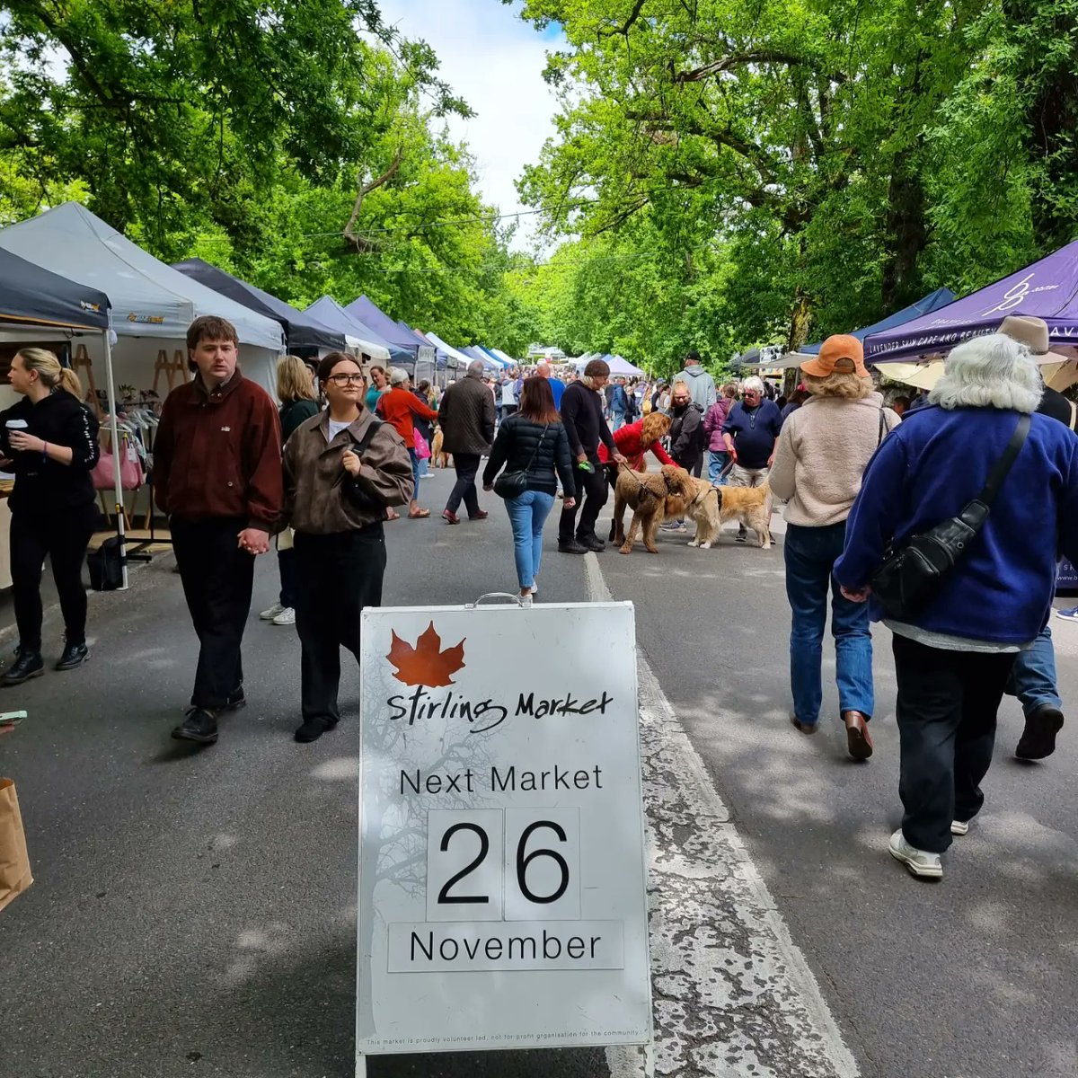 StirlingMktSA's tweet photo. Stirling Market THIS Sunday 26th November 10am-4pm Druid Ave Stirling 🌿🍂🍁 https://t.co/Fud2B8MPzB