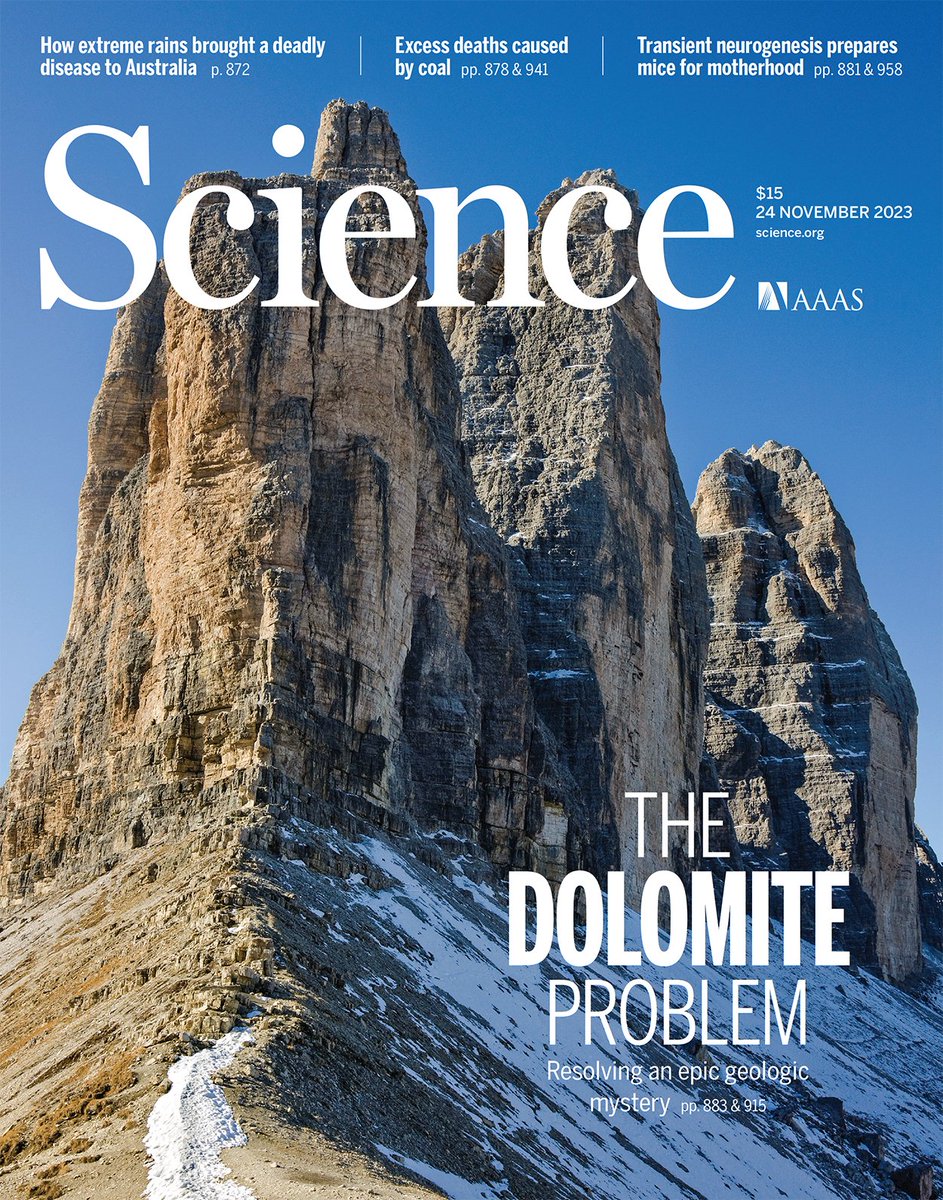 #Dolomite is indeed a very strange mineral, pretty ugly, destroying fossils, geochemical proxies and anything else you love in carbonate sedimentology. Yet creating beautiful landscapes, interesting solution to an old problem ... science.org/doi/10.1126/sc…