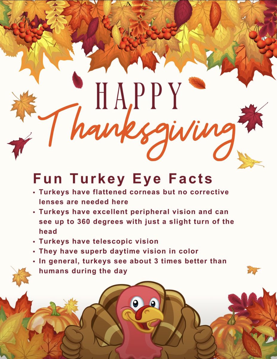 SHegleh's tweet photo. Here is some cool Turkey 🦃 #Eye facts from @BascomPalmerEye to keep your #Vision sharp on the feast this #HolidayCheer #HappyThanksgiving #MedTwitter #OphthoTwitter #AAOYO #Ophthalmology @AMSANational @YoungMDConnect https://t.co/7ZnZr25w62
