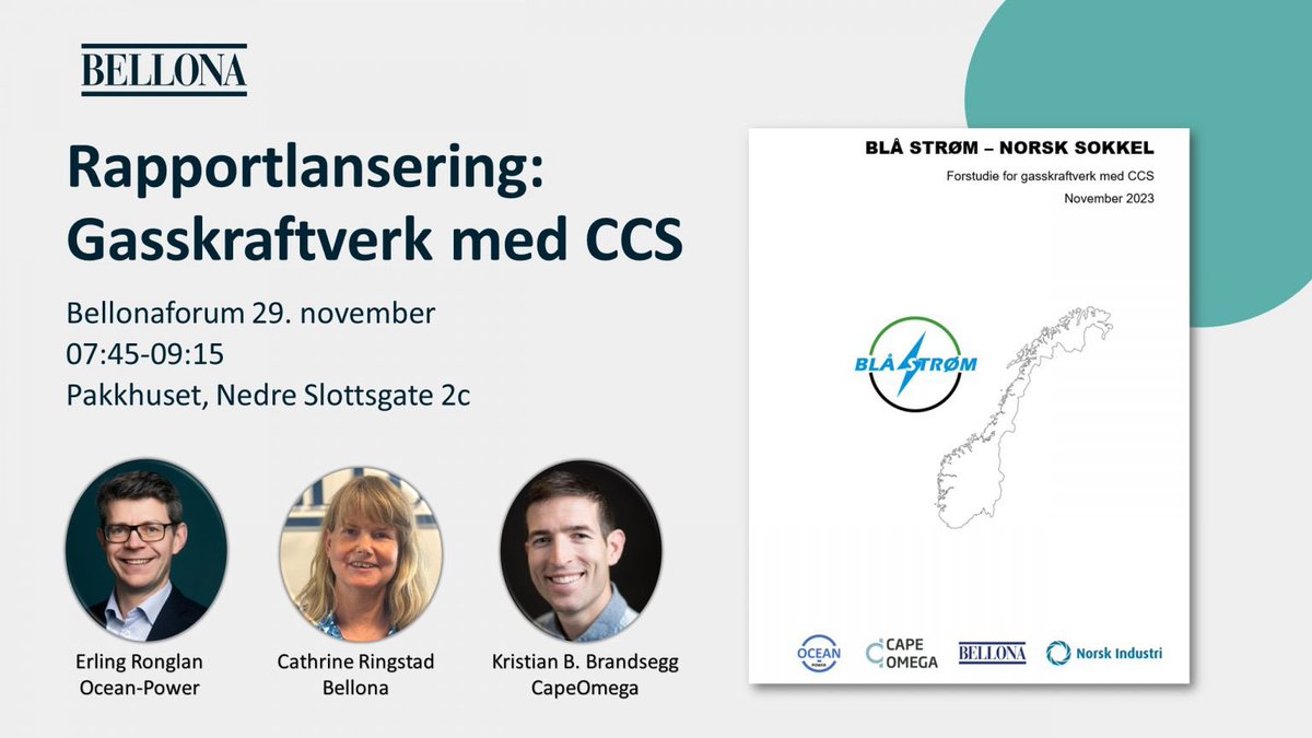 thomas røed tweet media