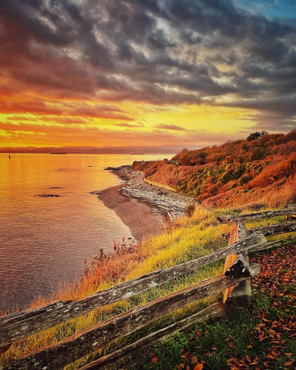 DailyHiveVic's tweet photo. Golden hour on Dallas Road, captured by @e.l.mackenziephotography
#connectwithvictoria #victoriabc #yyj #sunset_pics #beautifulbc #explorecanada #tourismvancouverisland #tourismvictoria #imagesofcanada #sharecangeo #nature_brilliance #sunsets #sunset_lovers https://t.co/vrWsU6hOLs