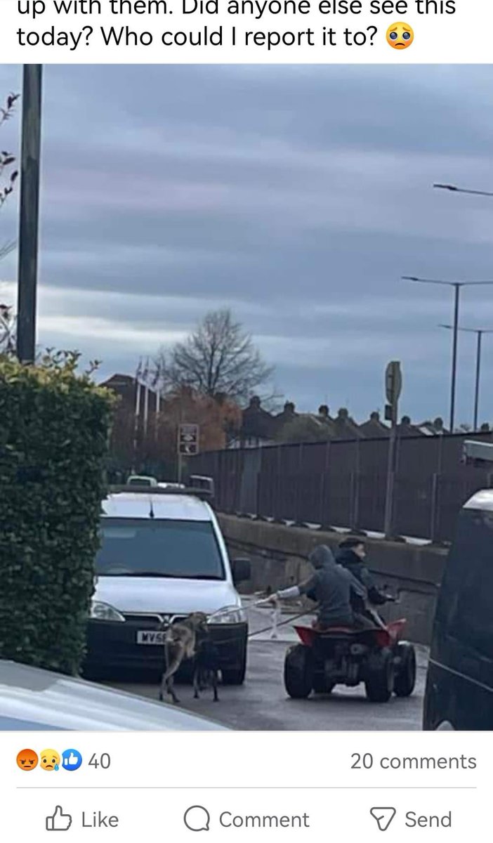 Surbitonite tweet media