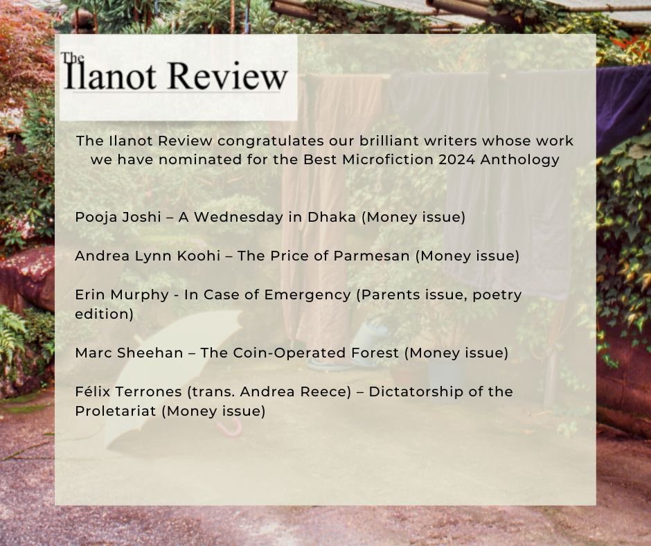 Thank you <a href="/ilanot_review/">The Ilanot Review</a> for the Best Microfiction nomination, and congrats to all the nominees!