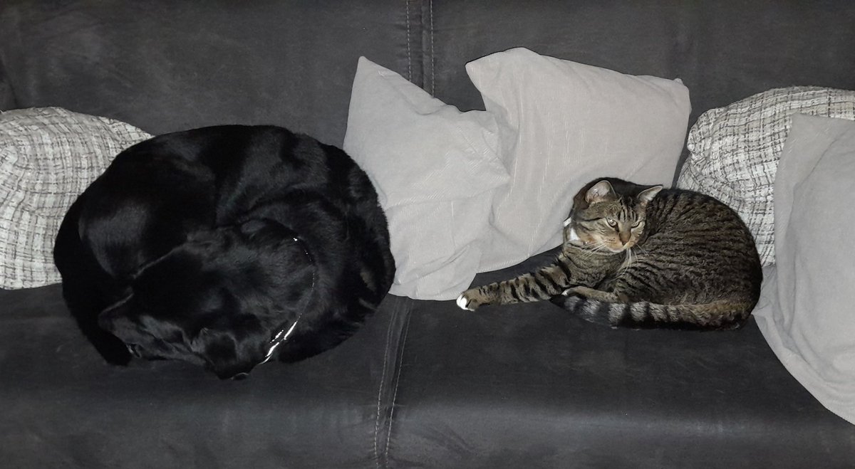 Ook heel verschillend maar wel samen en heel tolerant naar elkaar. 

Allemaal van vlees en bloed