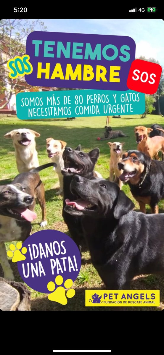 PetAngelsCol 🐱🐶 tweet media