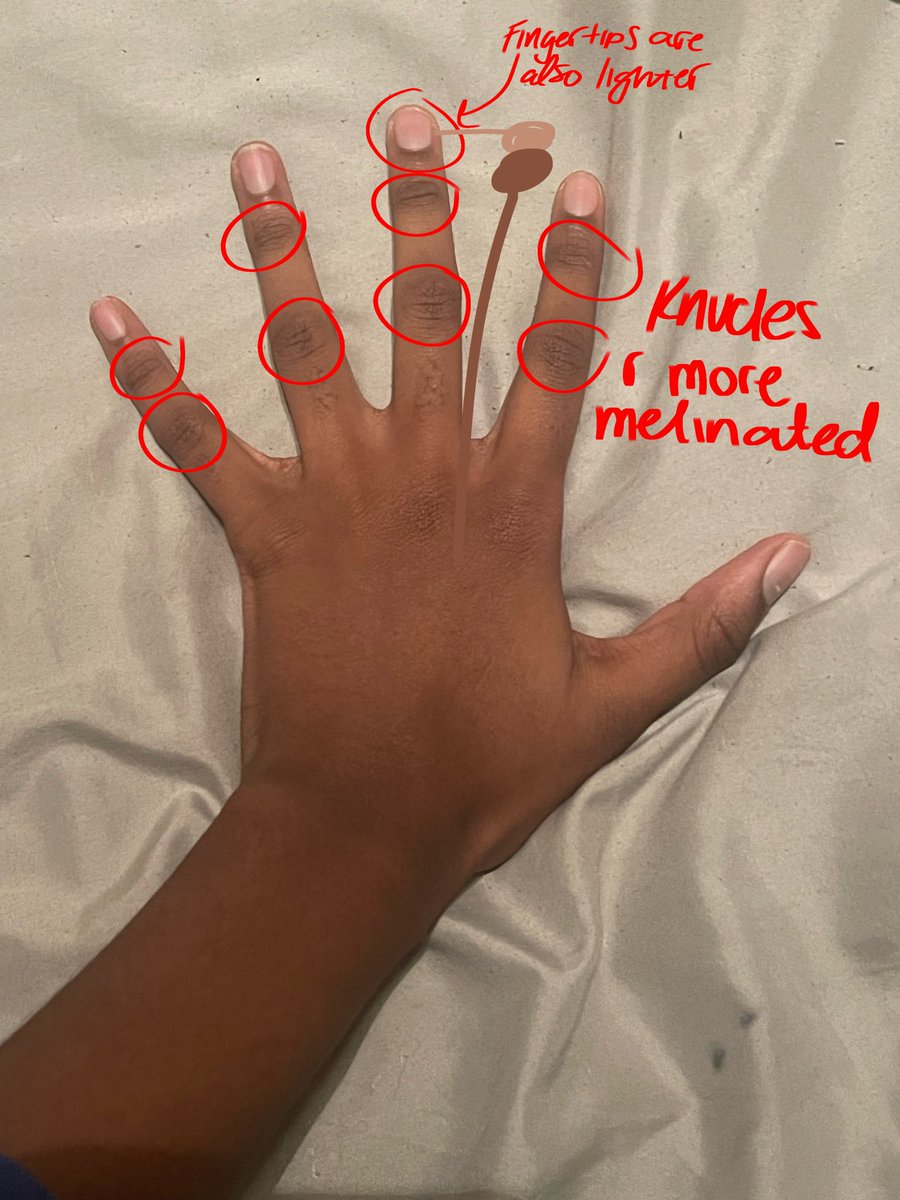 softbrainedrink's tweet image. quick hand guide for non blk artists :3 (ft my hand)
