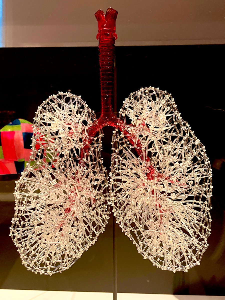 ctrenado_yuste's tweet photo. How beautiful it is to go to a museum and find this stunning lung artwork! 🫁 #KitPaulson https://t.co/42O8bywq7E