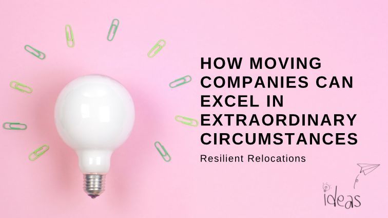 thenetworkleads's tweet photo. Curious about adapting to moving industry changes? 🔄 Our blog guides you! 🧭 
https://t.co/1Cj6EOkYeP https://t.co/Xm6Hqm9qqX