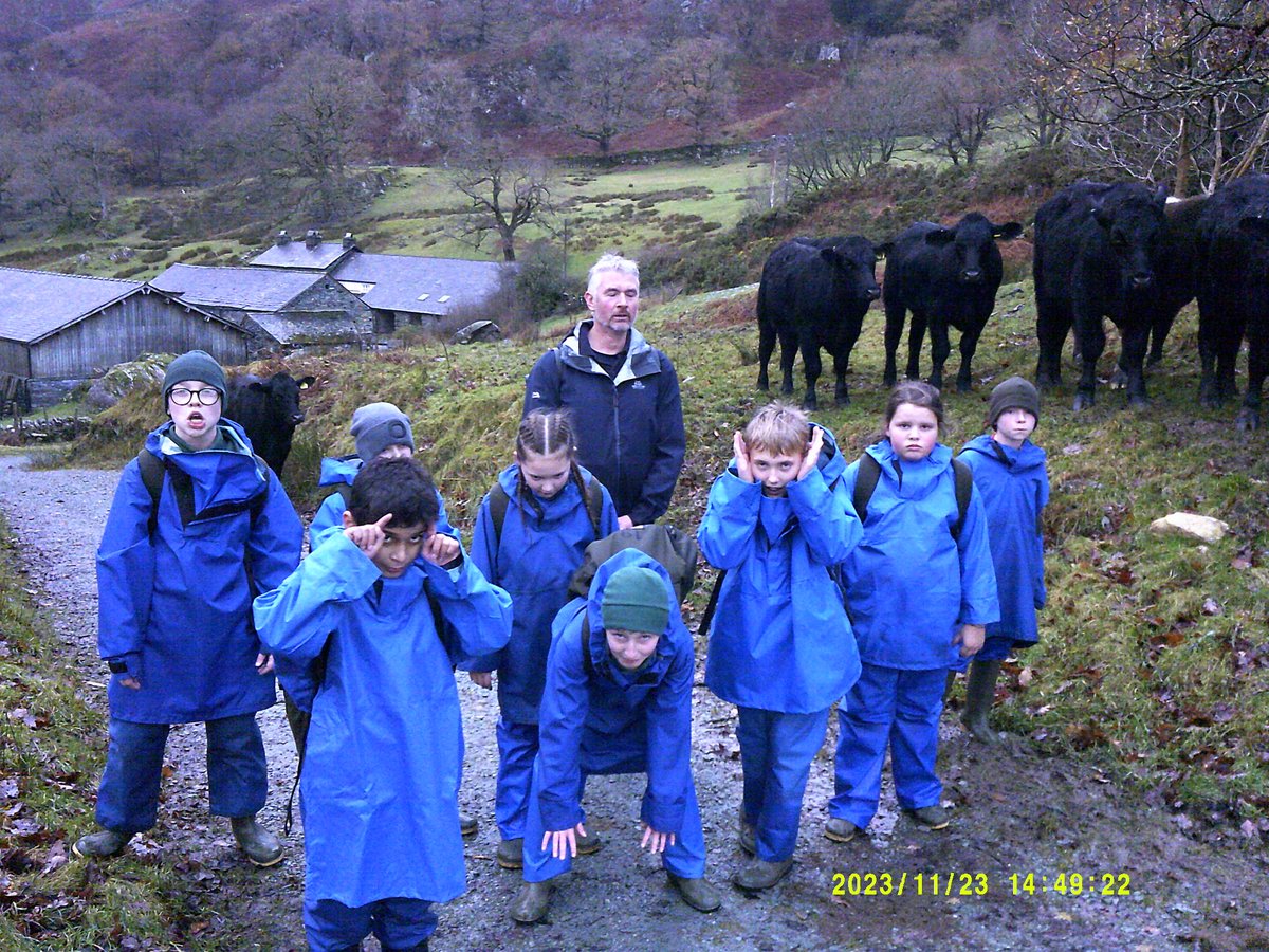 Millfields Primary tweet media