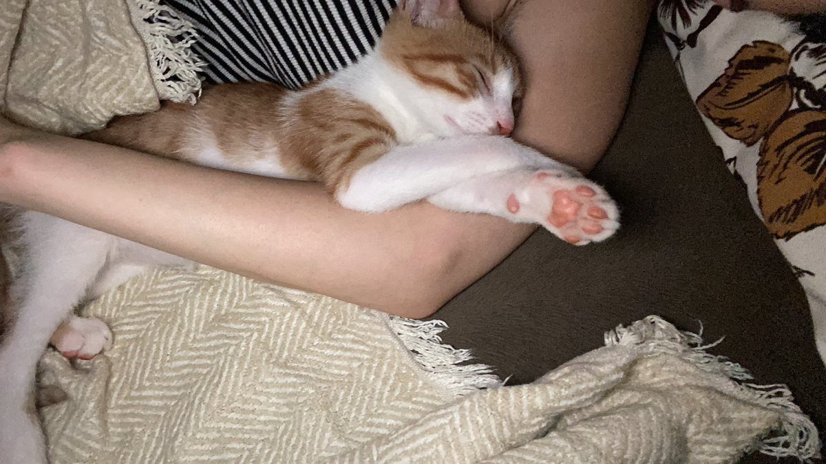 En güzel sensin canım oğlum 🐈