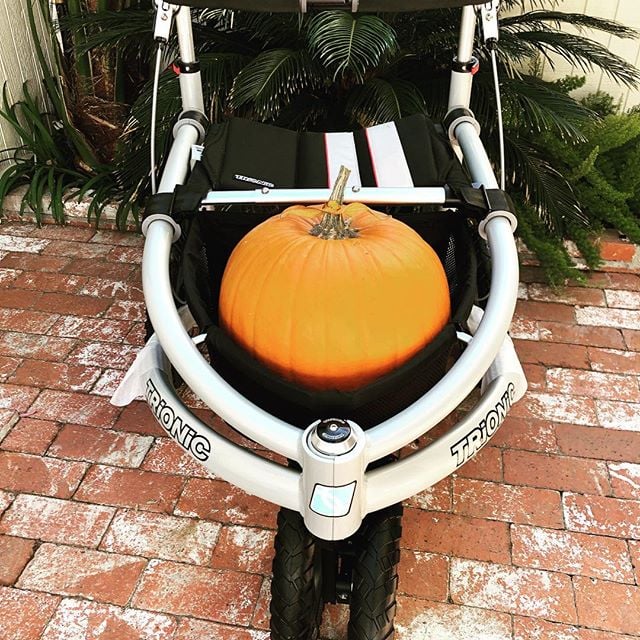 Wishing all Trionic users and followers a HAPPY THANKSGIVING!
We're grateful for your support

#trionic #veloped #walker #rollator #walkingaid #MobilityAids #mobilityexercises #thankful #Thanksgiving #disabilityfashion #outdoorliving #outdoors #outdoorlife #activelifestyle #walk