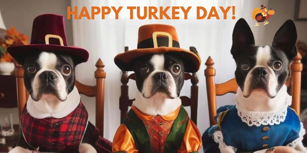 Eat, drink, and be thankful! 🦃 🍗