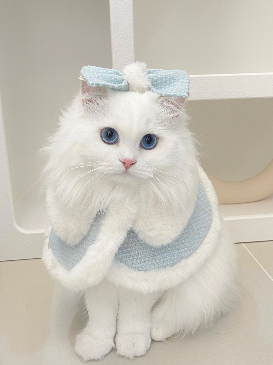 Chloe (@tay_chloe1) on Twitter photo 