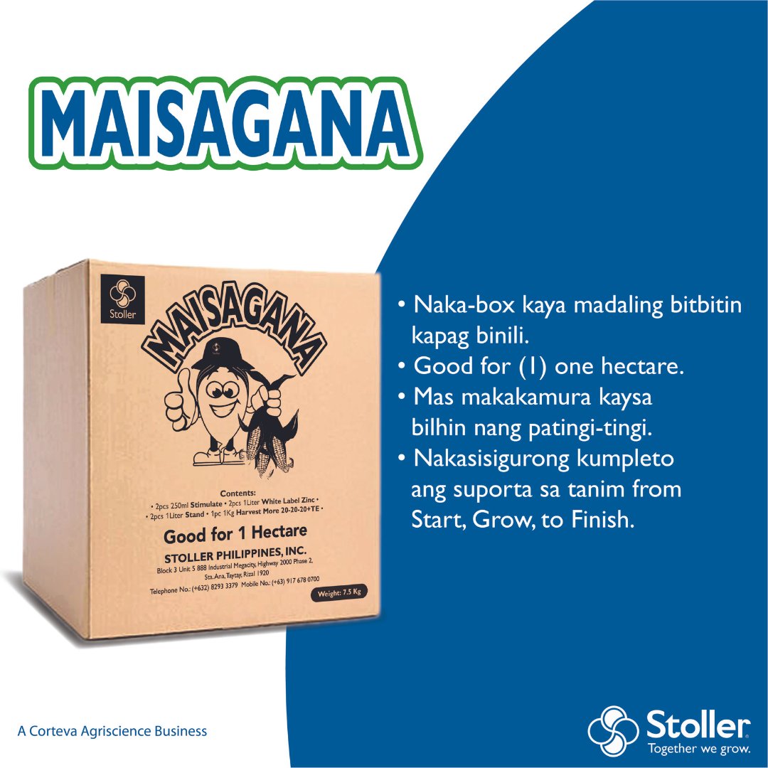 StollerPH's tweet photo. Meet Stoller Maisagana package of solutions- ang inyong all-in-one na kasama mula sa pagtatanim hanggang sa pag-ani!

Laman ng Maisagana ang White Label Zinc, Stimulate, Harvest More, at Stand - ang mga kailangan mo laban sa climate change. https://t.co/c4Lggfl0cc