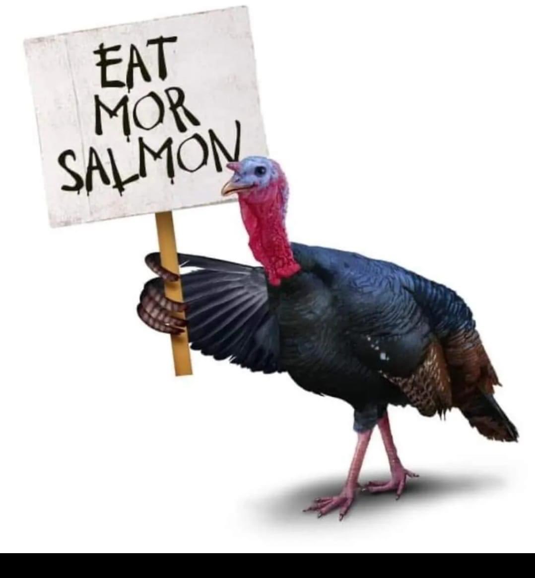 Happy Thanksgiving! 🍁 🐟🍽🥰