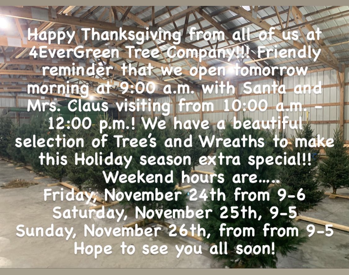 4EvergreenTree's tweet image. 