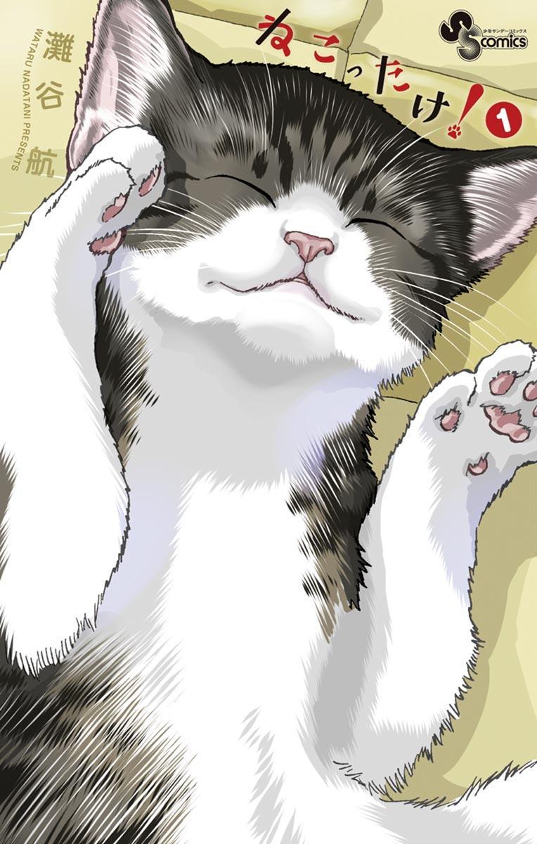 ねこったけ! 1