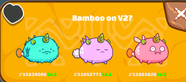 TapiocaAxie's tweet photo. 8/3 with my Bamboo + Leafy team form Origins haha
#AxieInfinity #AxieClassic #CursedColiseum #AxieCC https://t.co/6YrDaADruM