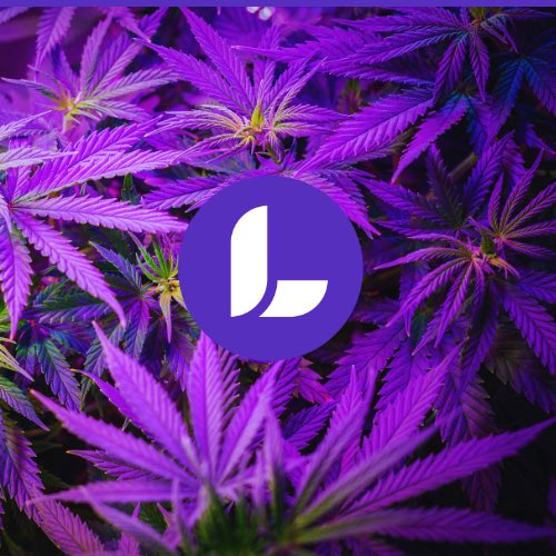 leafcoinio's tweet photo. The LeafCoin team wishes everyone a happy holiday, a time to reflect on the value of family and community.  

With the fast-paced and complex world we live in, it's an important moment to focus on building community and connection.  

LeafCoin's foundation is built upon, and continues to support, these values.

#crypto #cannabis #cannabisindustry #cannabiscommunity #LeafCoin