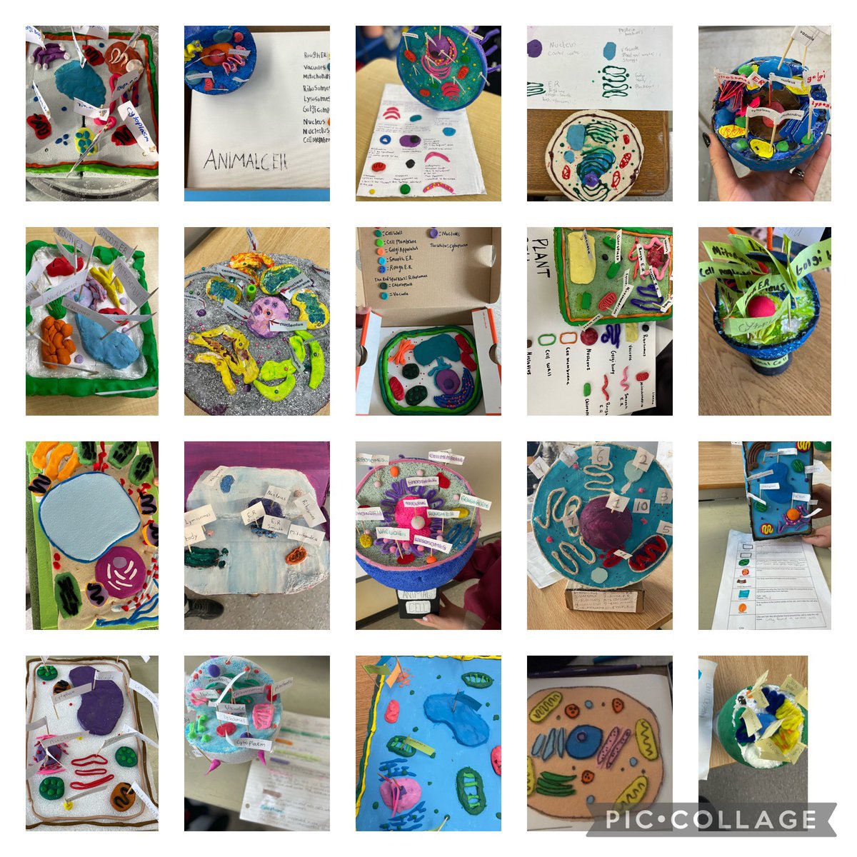 sgonca17's tweet photo. Students rocked the cell project. Here are just some of our examples. #cake #buildingcells @SirIsaacBrockPS https://t.co/EVMA2m56et