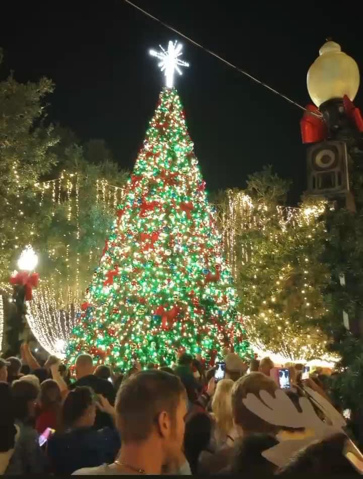 Nyanfooooon's tweet image. 今月もやるよー🎉🎉🎉

Florida art-walk #FLAW
1月モニター展示を合計4人にGIVEAWAY📣

🗓締切 11/28 

【クリエイター枠】
🍔Follow @nyanfooooon
🍟作品を引用ポスト

【コレクター枠】
🍕Follow @nyanfooooon
🌭推しクリエイター作品を引用ポスト