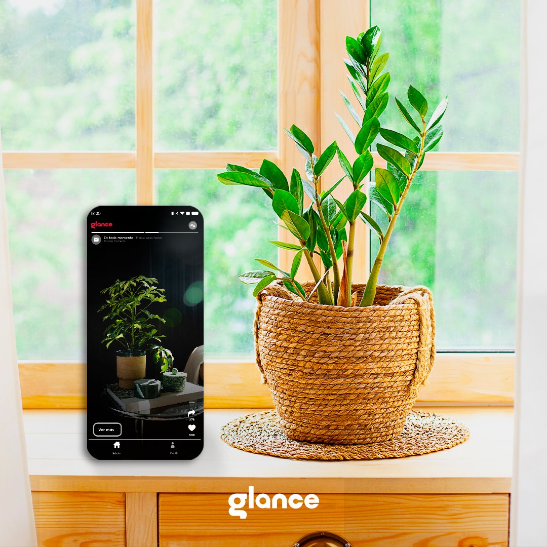 glancescreenco's tweet photo. 🌿🌱 ¿Es fanático de las plantas? #Glance le brinda consejos esenciales, como la cantidad de luz que necesitan o la frecuencia de riego, directamente en su pantalla de bloqueo. ¡Desbloqué la maravilla de cuidar plantas con nuestras sugerencias! 🪴💚 #GlanceColombia #Lifestyle https://t.co/q2UxidH9sE