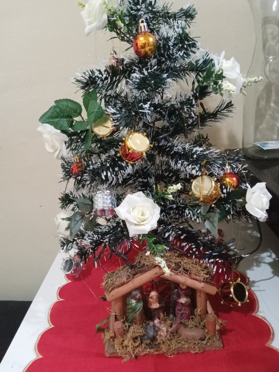 marciaclea's tweet photo. #MelhorDaNoiteNaBand
Quero compartilhar minha pequena árvore de Natal com todo o Brasil https://t.co/MDotFQWBDr