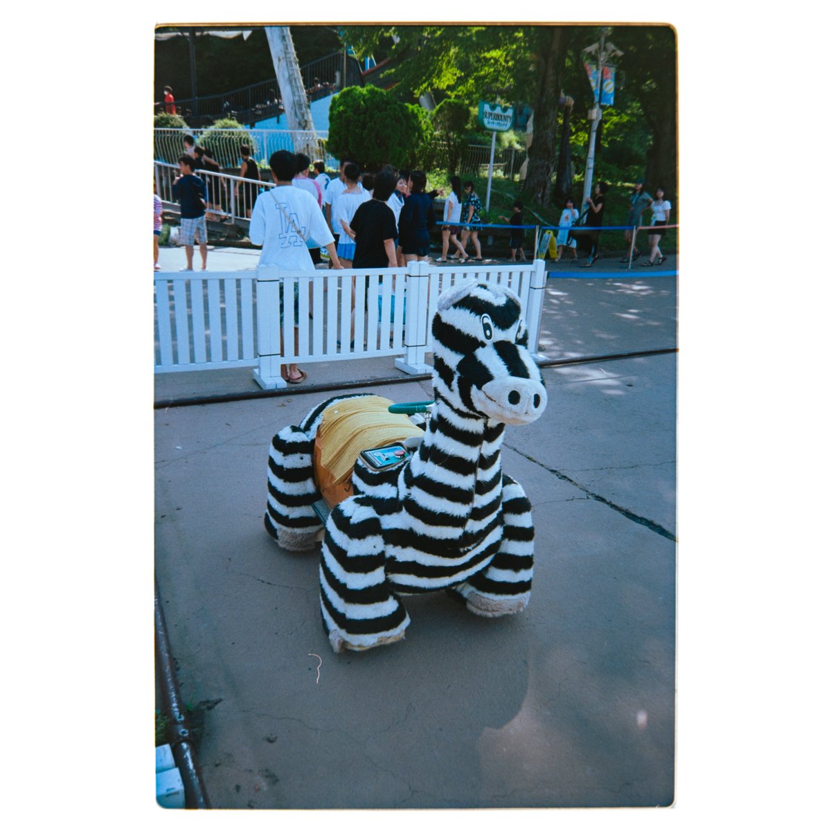 yusukeoikaw's tweet photo. 現像した。
夏の終わりから秋のフィルム
#espiomini #kodak200 https://t.co/b2xOpohiWA