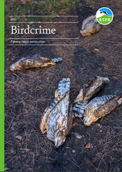 RaptorPersUK's tweet photo. Latest RSPB Birdcrime report published - hen harriers &amp; white-tailed eagles amongst victims of continuing illegal persecution in UK.

Same shit. Same suspects. Same denials. Same inaction.

Press release &amp; link to report ⬇️⬇️
https://t.co/DHvzeUtP8O https://t.co/h0QSFmoxtn