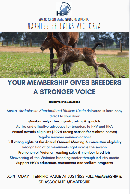 Have you joined or renewed for 2024 yet?

Your membership makes the breeders' voice even stronger - get on board and support your official kindred body in our advocacy, support, education and promotion for 2024: 
hbv.org.au/buy-membership