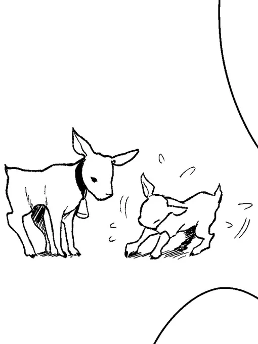 1106日目、朝30分間描きました!  動物を描くのが楽しくて楽しくてついつい人よりも先に描いてしまう…