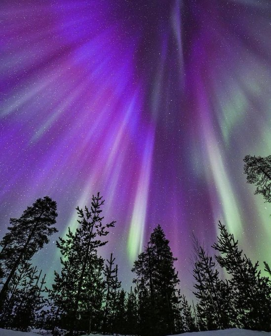 Arctic Nights, Scandinavia 💫