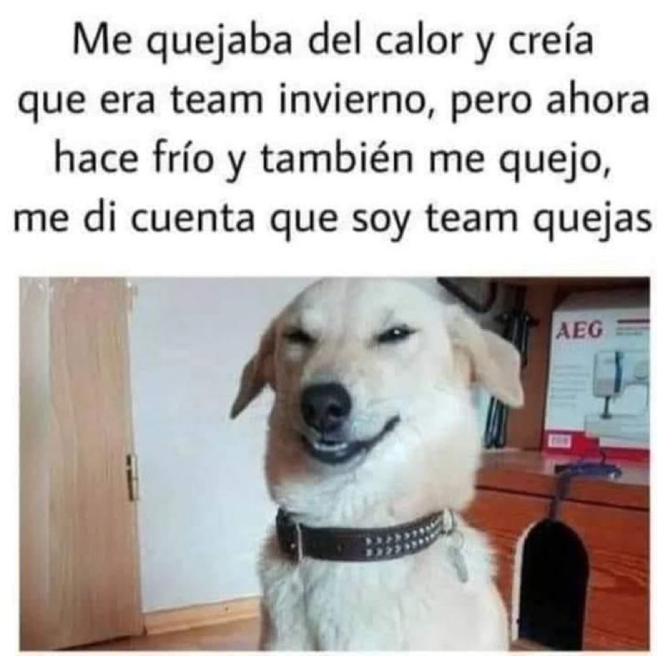 ardillawer's tweet photo. Soy #teamtemplado 😌 https://t.co/Kf0cVTiaNR