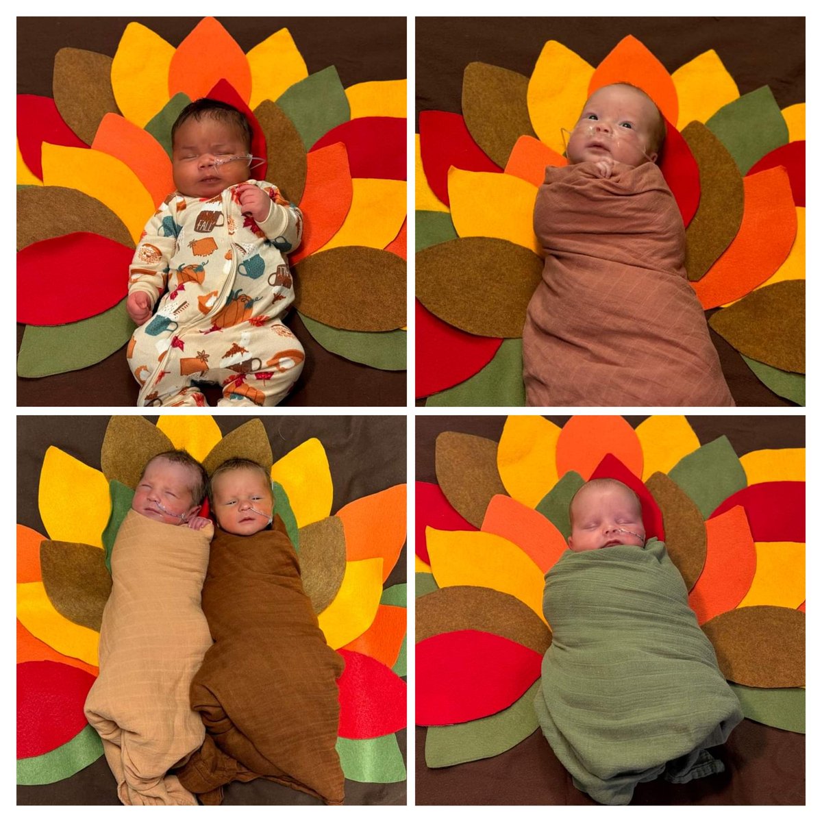 StBernards's tweet photo. We are so #Thankful for these tiny turkeys this #Thanksgiving!๐๐ฆ๐ #NICU #Healthcare #firstthanksgiving https://t.co/VkPrnaiw1J