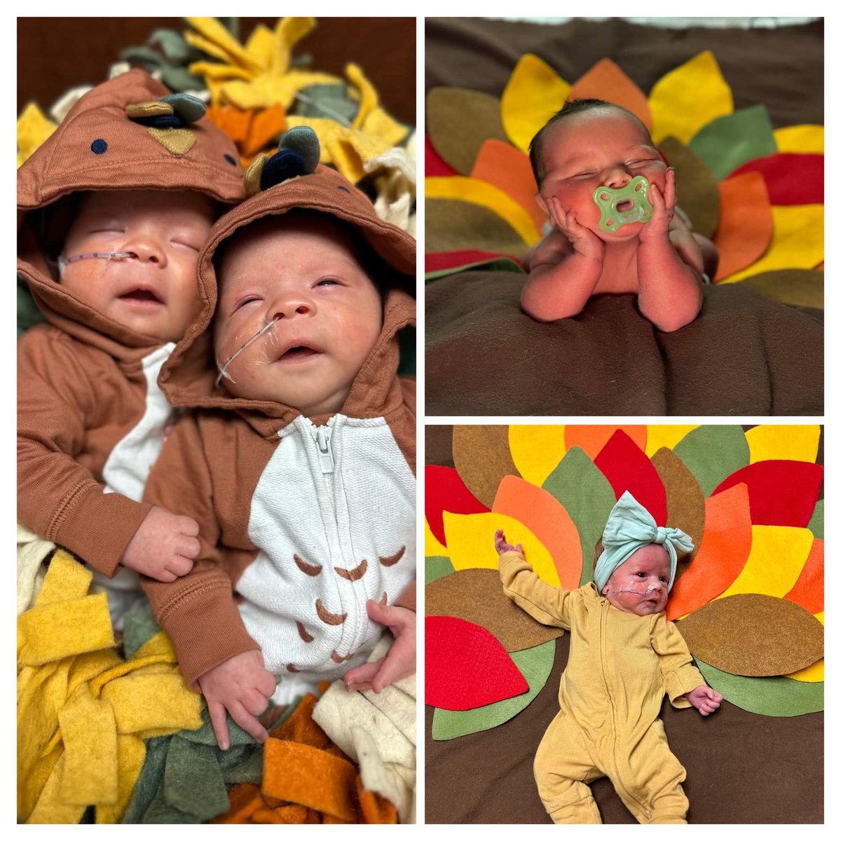 StBernards's tweet photo. We are so #Thankful for these tiny turkeys this #Thanksgiving!๐๐ฆ๐ #NICU #Healthcare #firstthanksgiving https://t.co/VkPrnaiw1J