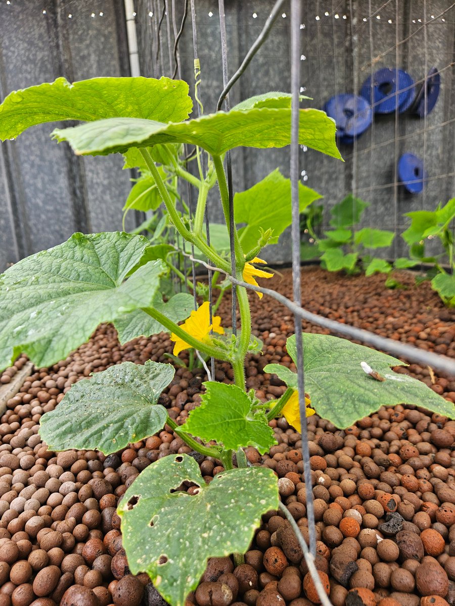 Leighton Wilksch tweet media