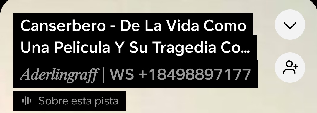 locozag's tweet photo. El volumen nunca es demasiado alto cuando suena https://t.co/h6RcqwM33K